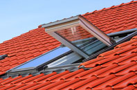 Darnall roof window